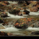 podzimní potůček (5)