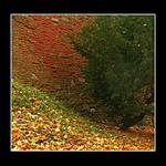 Na Špilberku pořádně foukalo