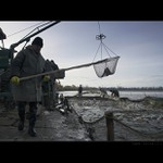 Výlov rybníku Bezruč