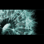 ..::ICE BloWBaLL::..