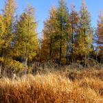 5 days before Snowstorm...