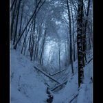 První vločka, ale velká