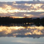 večerná prechadzka