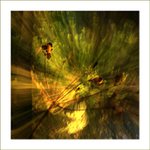 ***V rytmu podzimu***