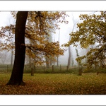 Návraty do veltruského parku XXIX - Podzim 2007