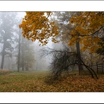 Návraty do veltruského parku XXX - Podzim 2007