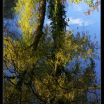 odraz jesene/podzimu/ 2007