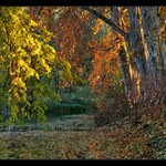 Jeseň /podzim/ v zámockej záhrade 2007