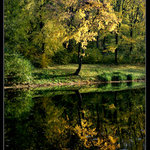 jeseň v zámockej záhrade 2007