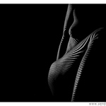 dlouho tu nebyla pruhovaná YendoWina :-)