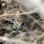 Príbeh bez hapyendu