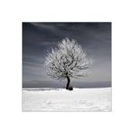 Kdesi v Krušných horách