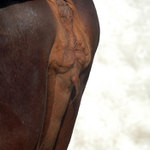 i v africe mají hř