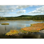 ...z toulek po Čechách...