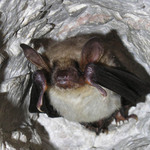 Zima je tu ... tak dobrou!