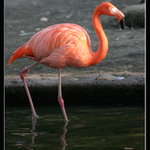 .:. dojdu se podívat, copak se tam děje... .:.