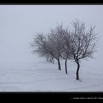 Soukromá cesta do nikam