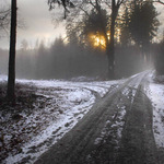 Podzimní smutky III.