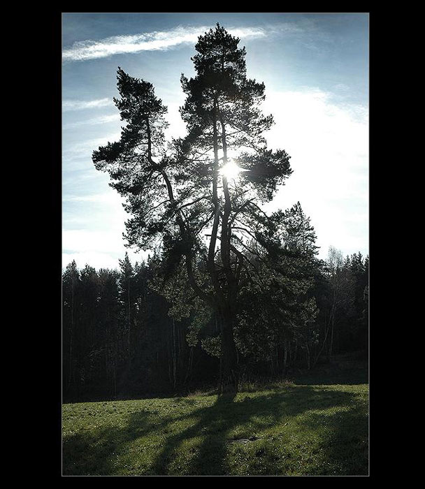 .: V PROTISVĚTLE :.