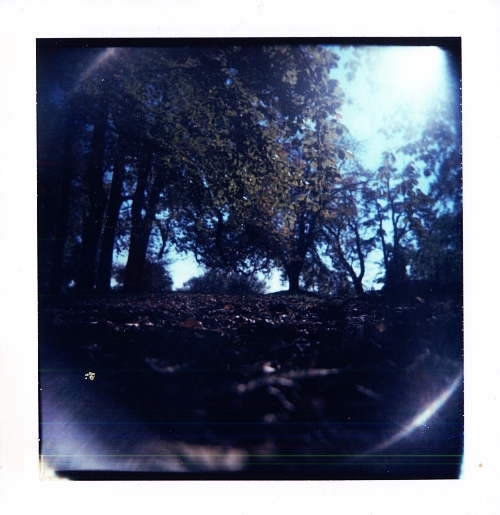 A krtek si vytřel zrak a pravil: hele vole vono už neprší!