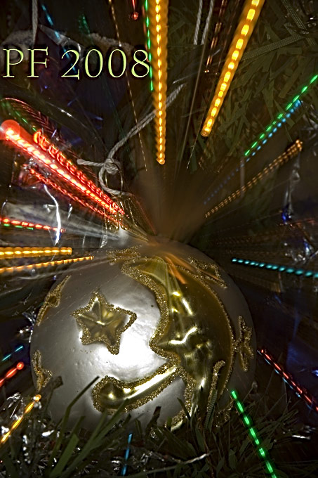 PF 2008