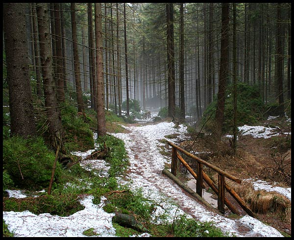 Pěšina do ztracena