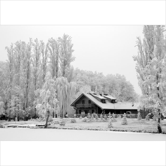 .: Zima :.