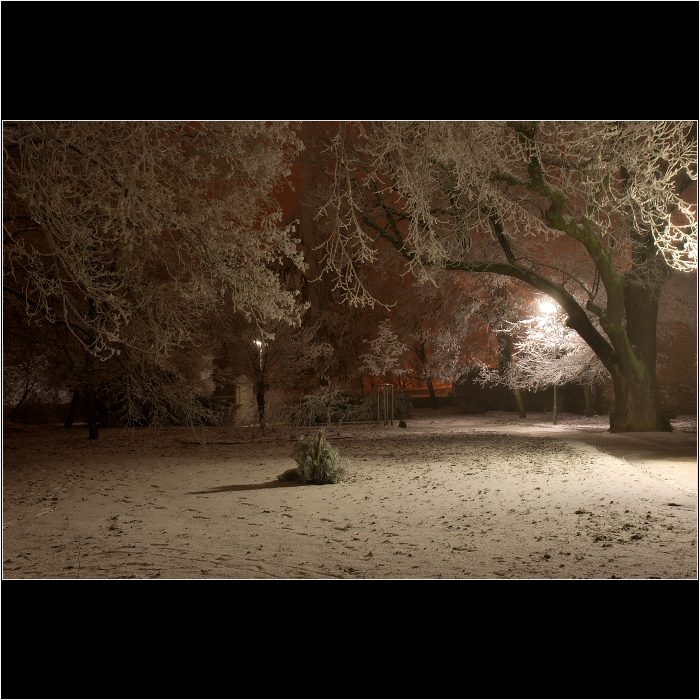 .:: Park ::.