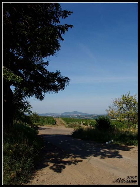 Pálava