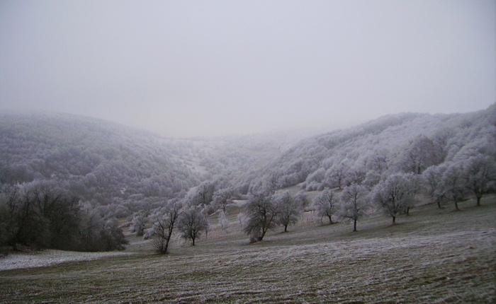 Krajina ticha