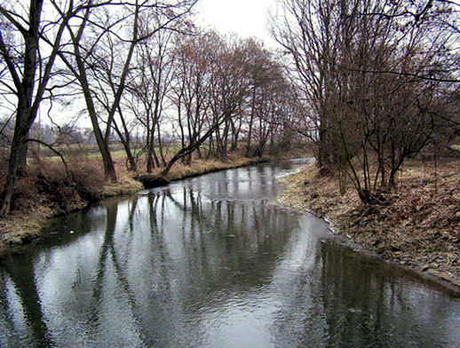Fascination of the river