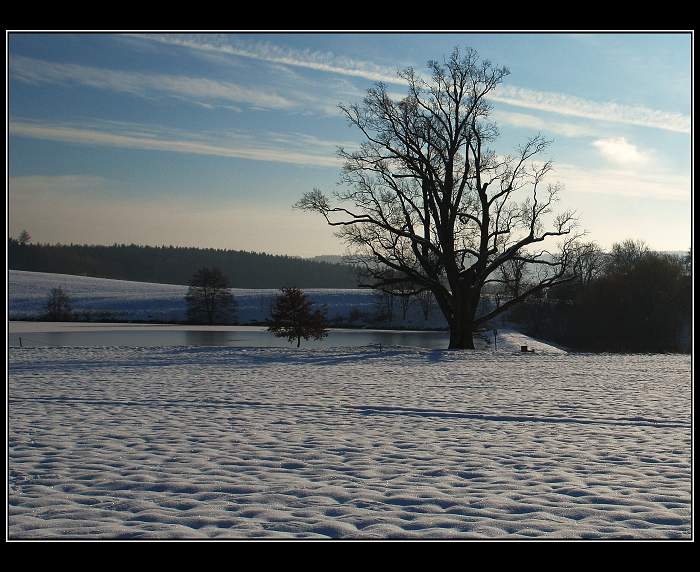 ....u rybníka pod Byšičkami...