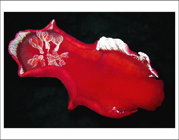 ...Tanečnice...Rudé moře..