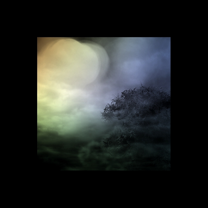 vááánoce prichááázejíííí