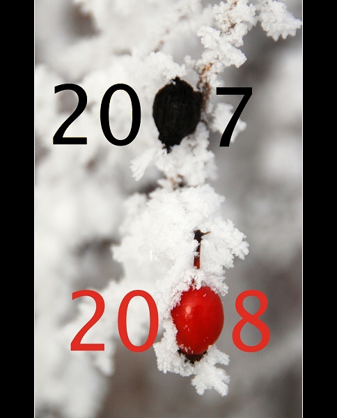 experiment pred pulnoci