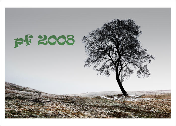 PF 2008