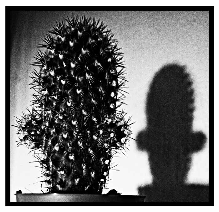 Tonda ;o)