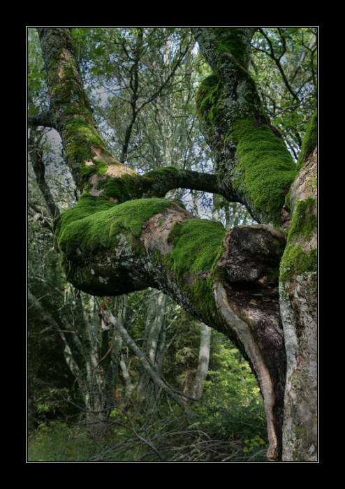 To ještě nebyla zima...