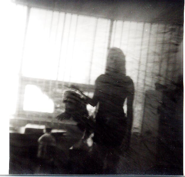 moje první pinhole - dáma s kočkou