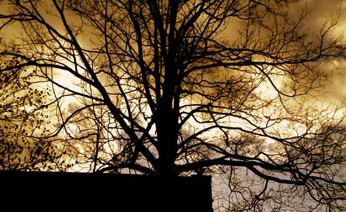 strom