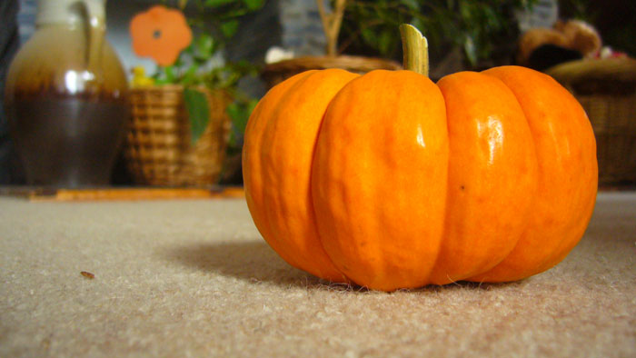 ...hello ween...