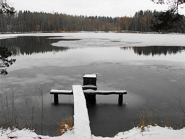 Rybník V (a už poslední)