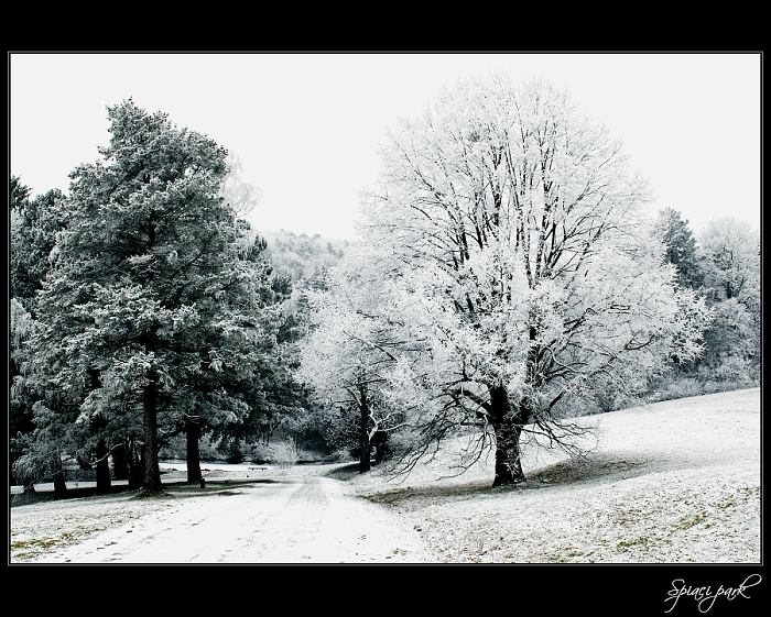 Spiaci park