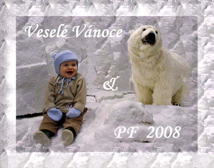 PF 2008