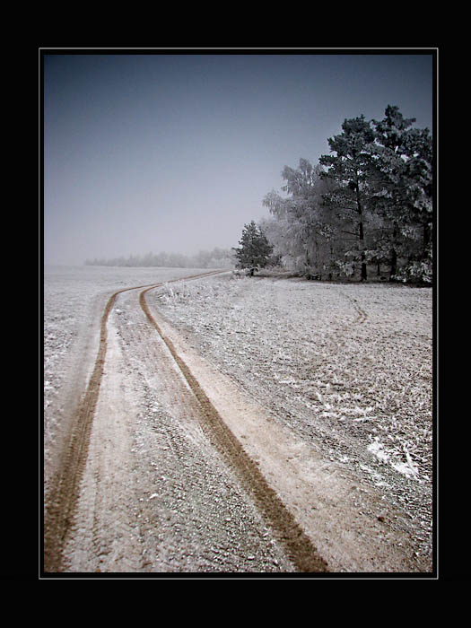 Na biskupském kopci..