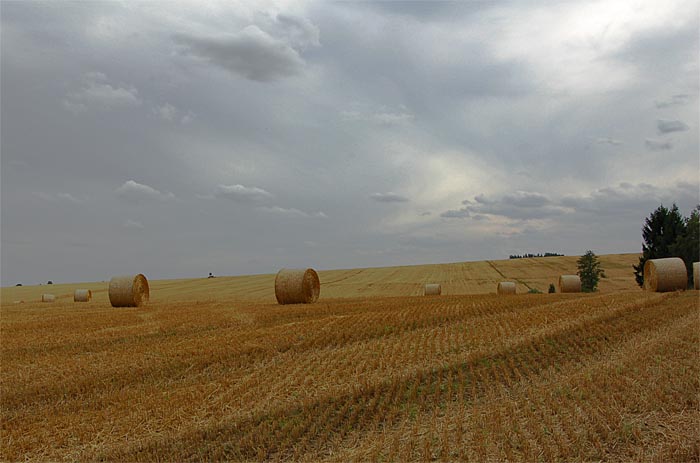 Strniště