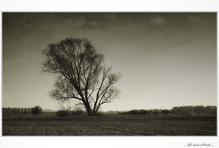 life and solitude
