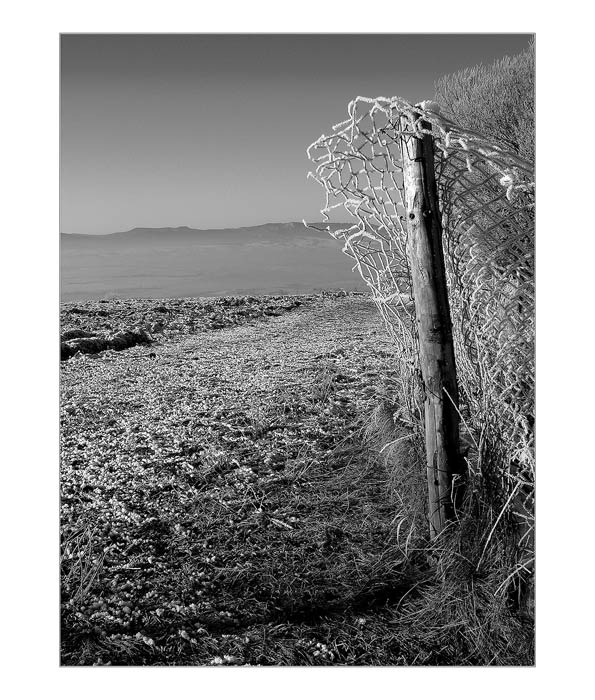 Z decembrových polí