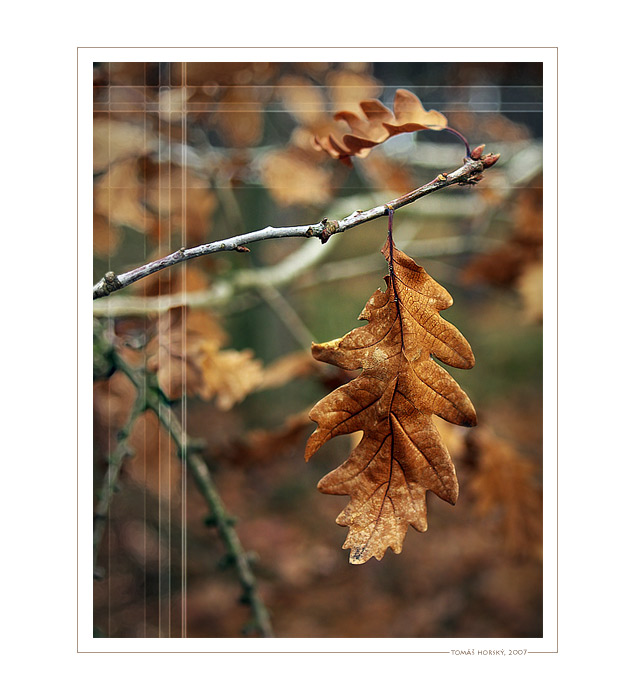 malujeme s podzimem 2