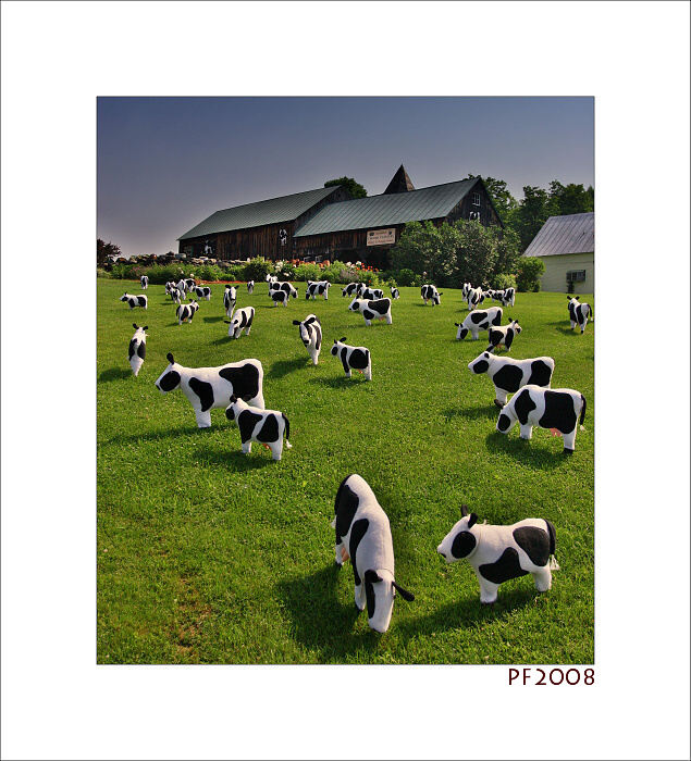PF2008